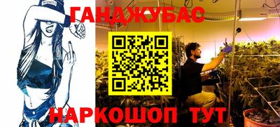 амф Кингисепп