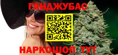 амф Кингисепп