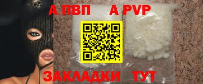амф Кингисепп