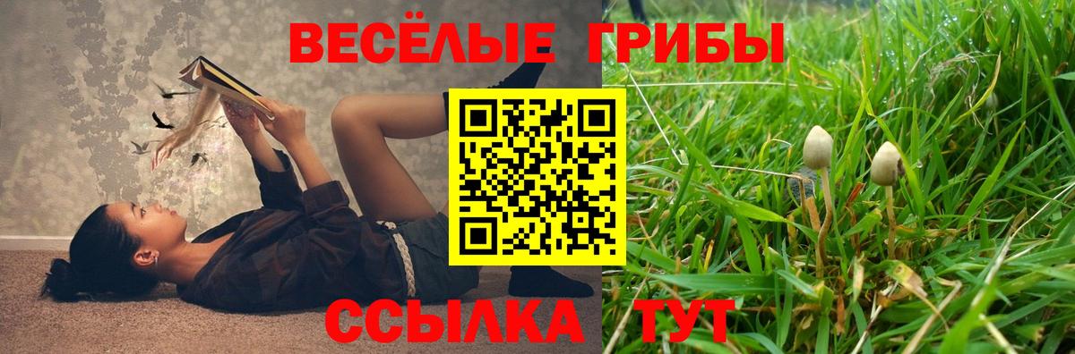 Галлюциногенные грибы мицелий  Вход с VPN  Красноуфимск  Галлюциногенные грибы GOLDEN TEACHER 